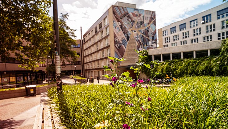 uni hamburg campus tour