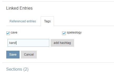 Screenshot: Tags section of an entry