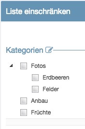 Screenshot von der Kategorien-Zuordnung für einen Agora-Raum