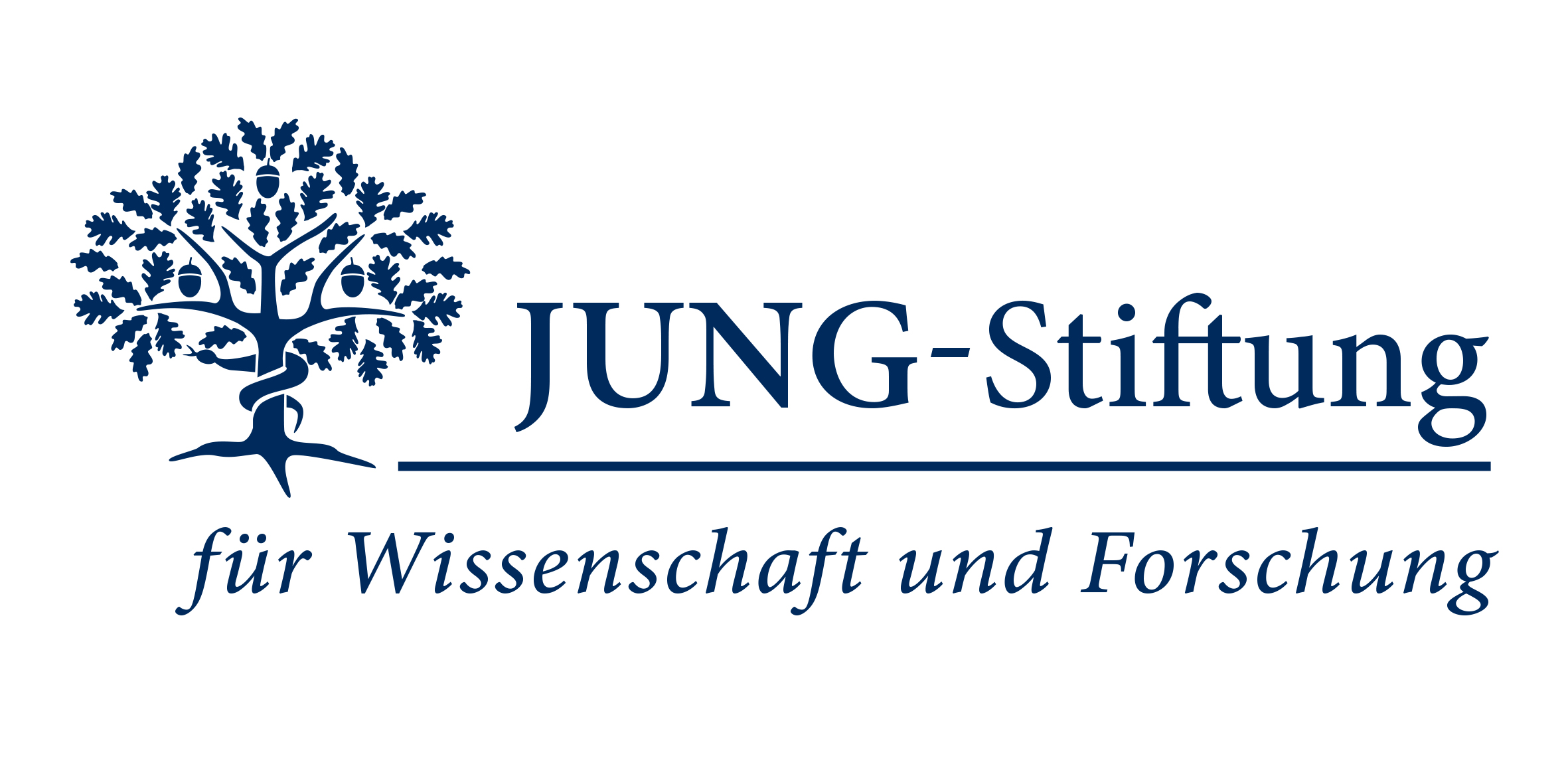 Logo Jung-Stiftung für Wissenschaft und Forschung