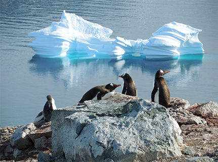 Die kausale Unsicherheit über Ursachen der Erwärmung der antarktischen Luft ist größer als bislang angenommen. Foto: M. Helmich/pixelio.de