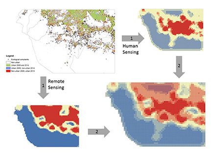 Die Karten aus dem Südwesten von Mexico-Stadt zeigen oben links Bürgerbeschwerden (schwarz) und neue Urbanisierung (rot). Hinzu kommen die Daten aus dem Human Sensing (oben rechts) und dem Remote Sensing (unten links). Die Kombination (unten rechts) zeigt mit 99-prozentiger Sicherheit Hotspots illegaler Besiedlung (in Dunkelrot). Grafik: UHH/CEN/Rodriguez, Heider