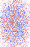 Computersimulation von Magneten aus Quantenmateriewellen. Die Magneten können nach Norden (rot) oder Süden (blau) zeigen. Foto: UHH/Institut für Laserphysik